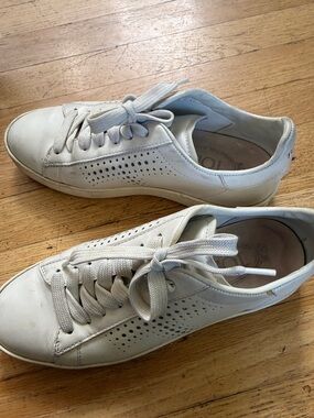 Tod's White Leather Perforated Lace-Up Sneakers